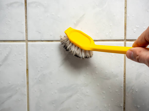 Trusted Winnemucca, NV Mold Removal Experts